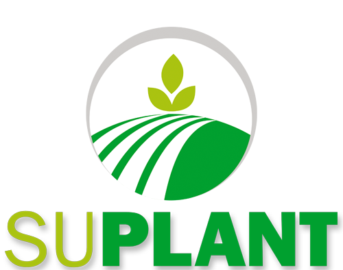 SUPLANT Anita Kubicka